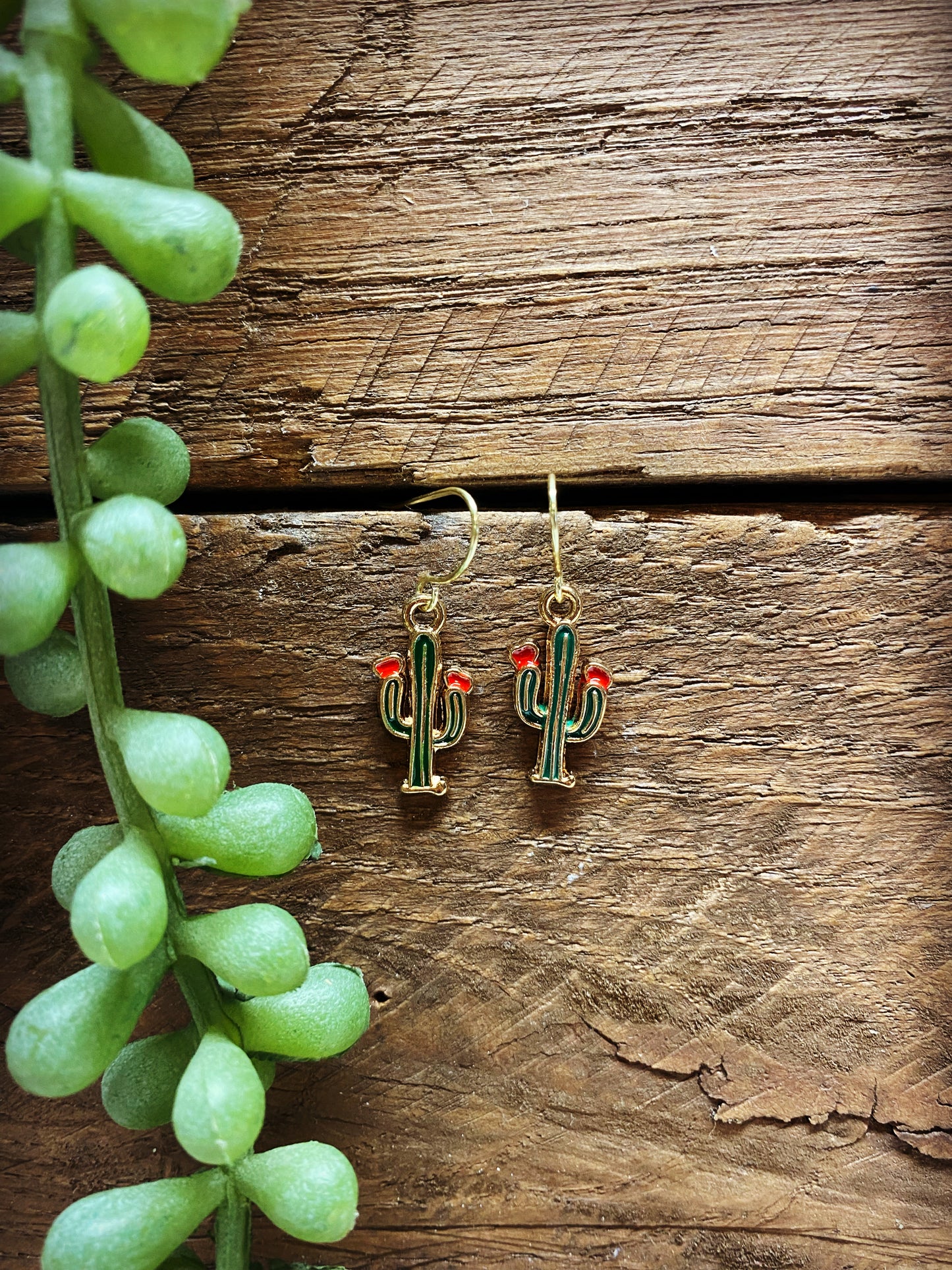 Happy Cactus Earrings - Multiple Options