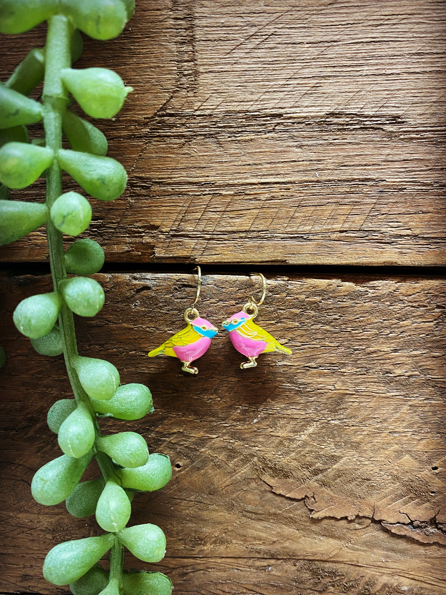 Happy Bird Earrings - Multiple Colors