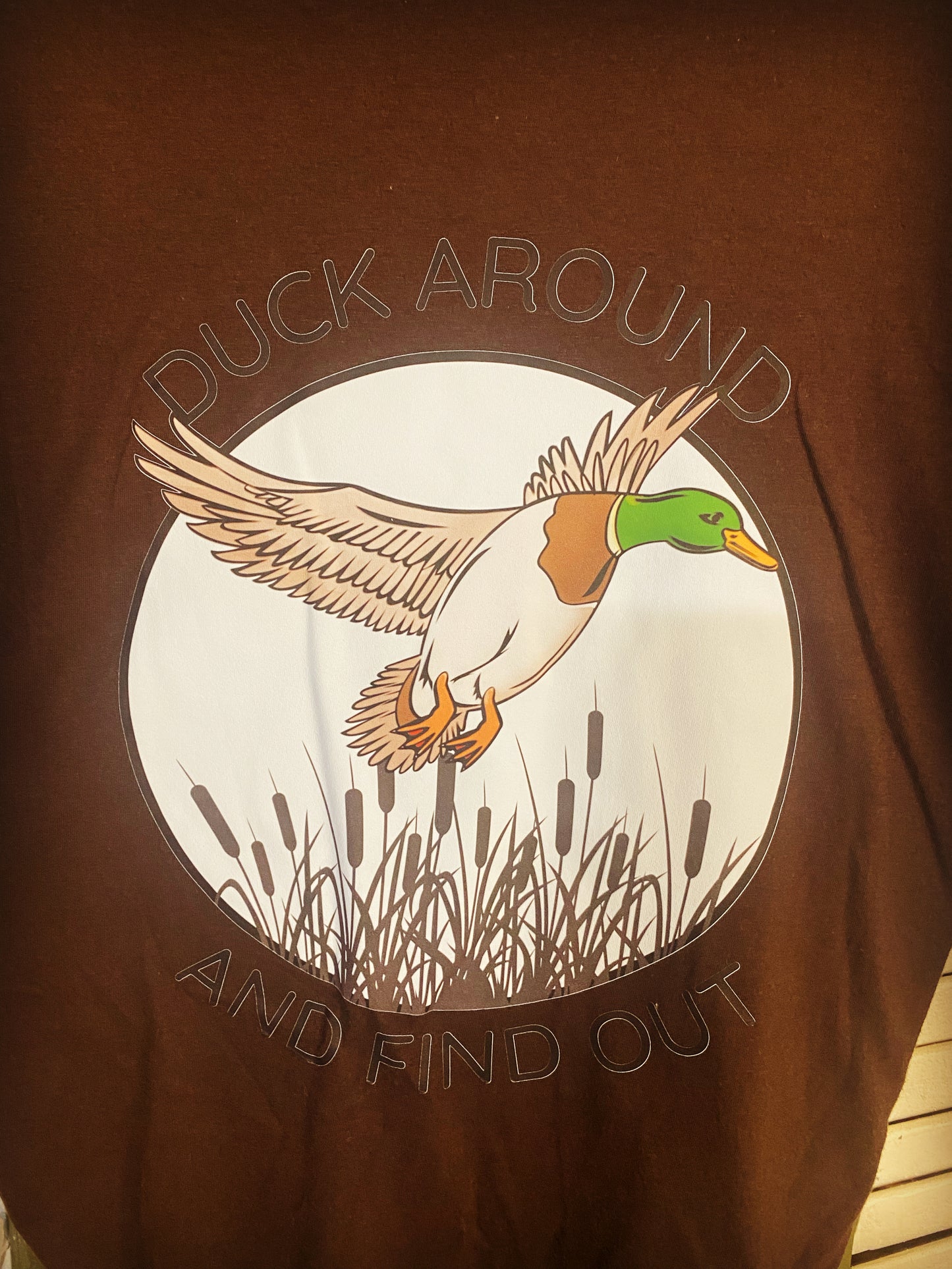 Duck Around & Find Out Mens Fashion T-shirt