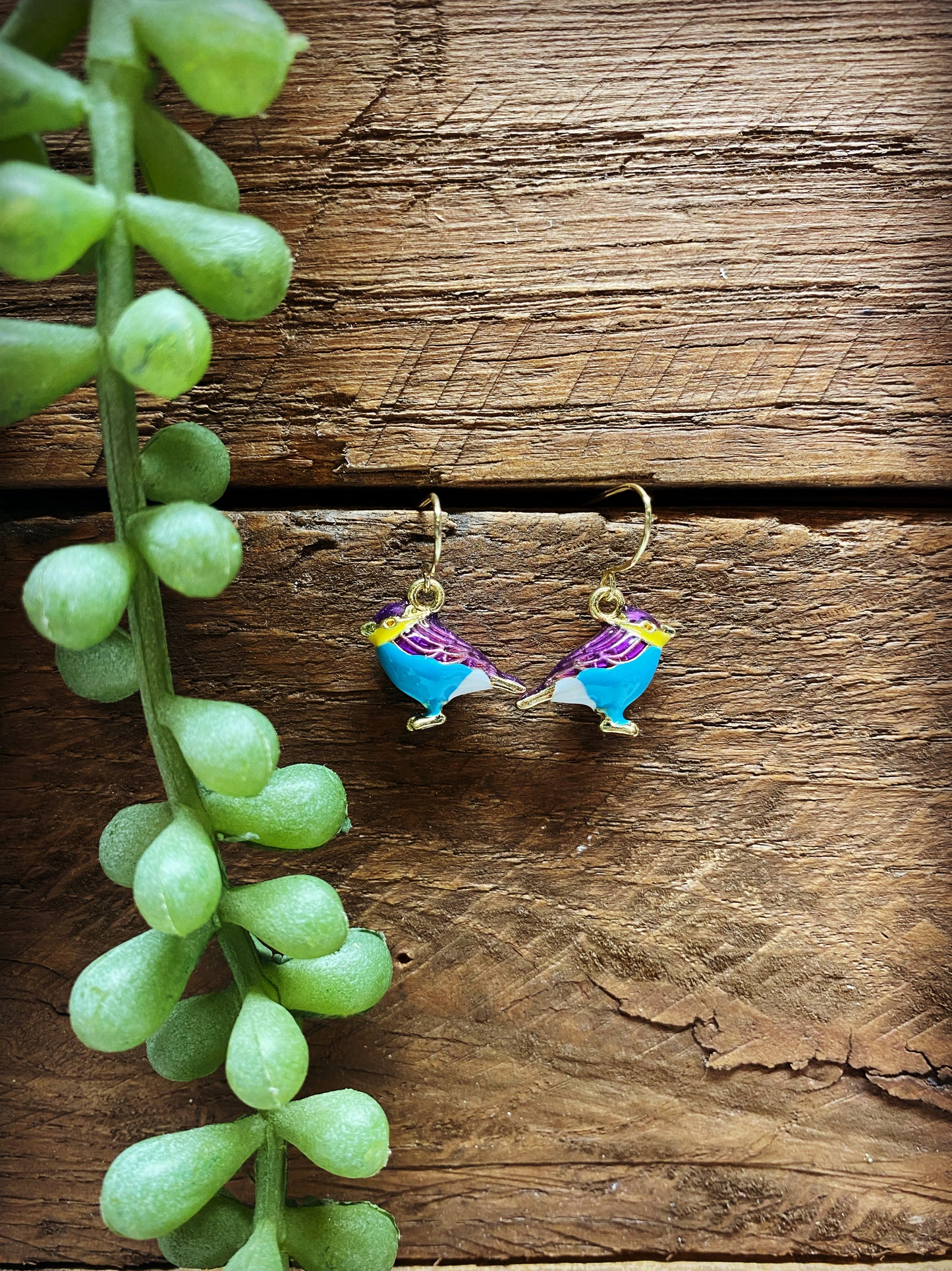 Happy Bird Earrings - Multiple Colors