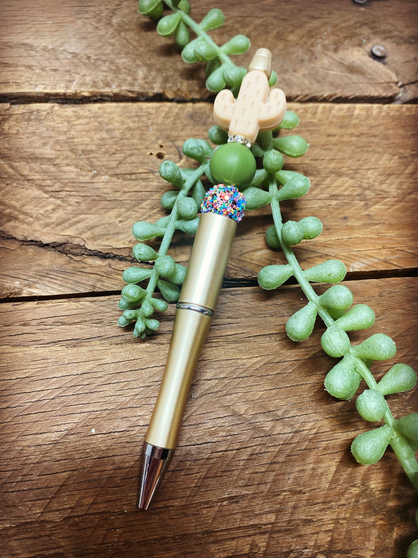 Pen -Cactus